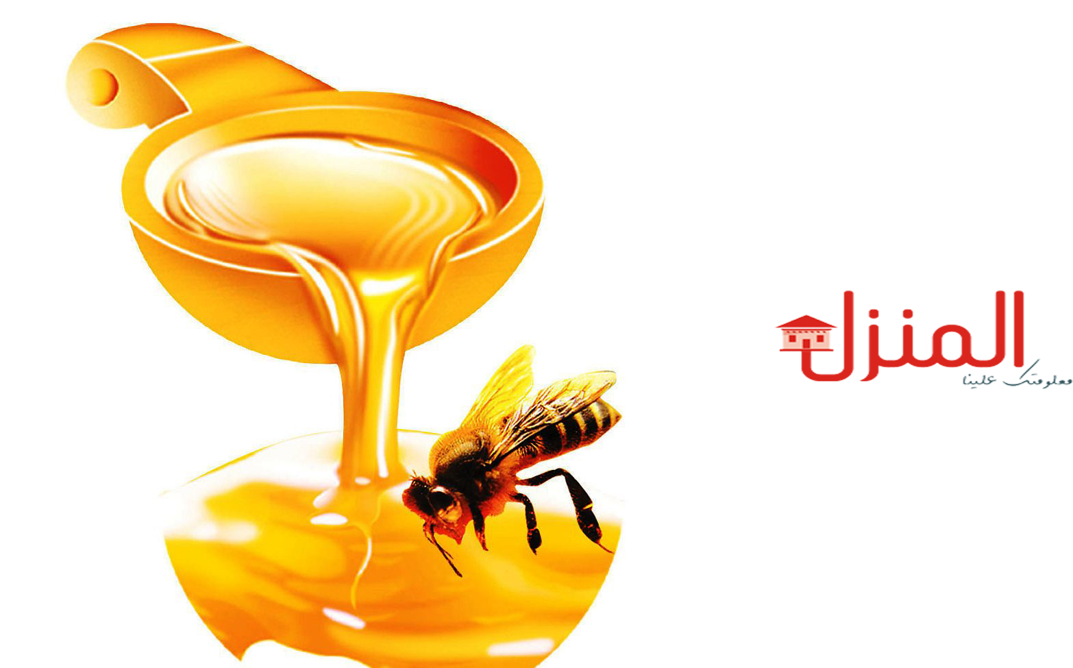Горкі ліпавы мед чытаць. Пчелиный мёд. Пчела на белом фоне. Реклама меда в картинках. Пчела с медом для детей на белом фоне.